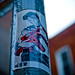 Elvis Torres Photo 19