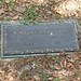 Bill Haskell Photo 9