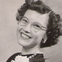 Nancy Willis Photo 15