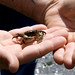 Michael Falco Photo 43