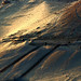 Rosetta Clay Photo 3