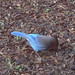 Jay Peck Photo 22
