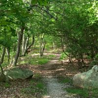 Stephen Simms Photo 8