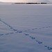 Christopher Hare Photo 17