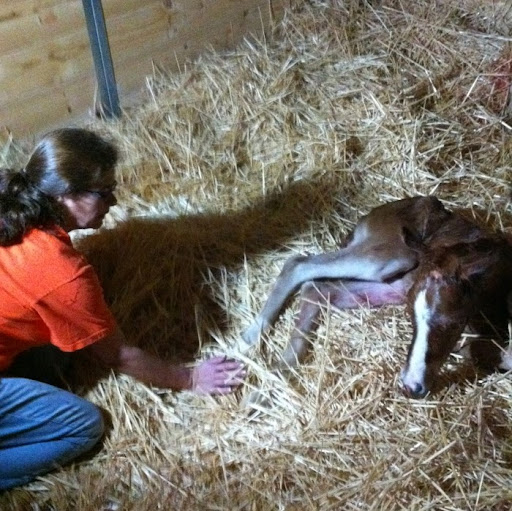 Stacy Mccrary Photo 15