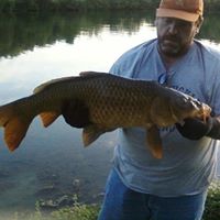 Lonnie Shepard Photo 6