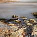 Margaret Bay Photo 11