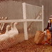 Jason Winters Photo 39