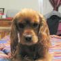 Ruth Boggs Photo 26