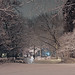 Vernon Fisher Photo 32