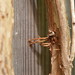 Galen Root Photo 7