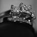 Joshua Ring Photo 12
