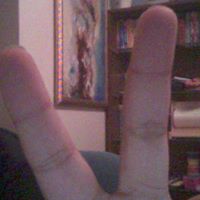 Andrew York Photo 29