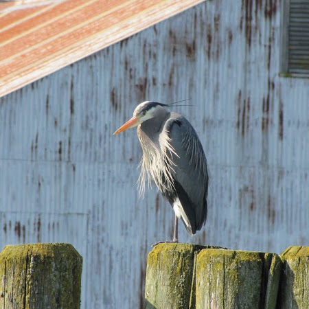 Paul Beyer Photo 46