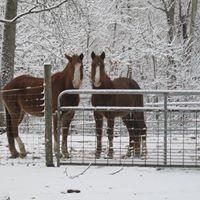 Kimberly Dietz Photo 9