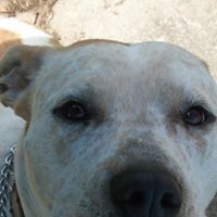 Rowena Ross Photo 11