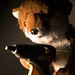 Ray Fox Photo 9