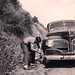 William Feldman Photo 8