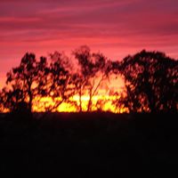 John Mcneely Photo 3