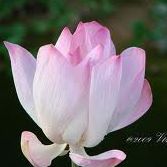 Catherine Cagle Photo 1