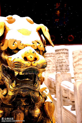 Haoyu Zhang Photo 14