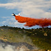 Scott Draper Photo 23