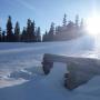 Gary Lee Photo 21