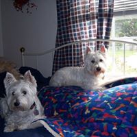 Beverly Lanham Photo 7