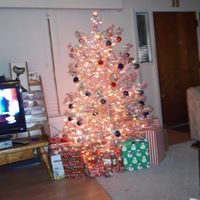 Deborah Keck Photo 7