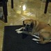 Carmen Rogers Photo 47