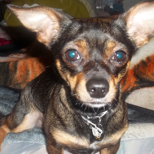 Earl Ray Photo 5