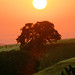 Anita Burns Photo 21