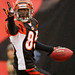 Chad Hickey Photo 22