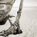 Brad Rust Photo 14