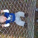 Jeffrey Hammock Photo 9