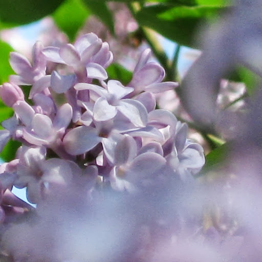 Sarah Kirby Photo 13