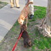 Sandy Link Photo 17