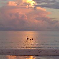 Jennifer Dreyer Photo 31