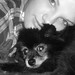 Kayla Craig Photo 14