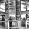 Michael Fenton Photo 1