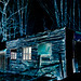 Jason Tennant Photo 35