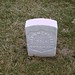 John Merchant Photo 34