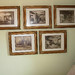 Diane Graham Photo 19