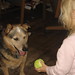 Amelia Ball Photo 15