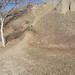 Eric Vaughn Photo 11