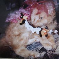 Linda Spires Photo 4