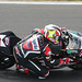 Shane Phillips Photo 31