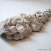 Claire Lindner Photo 8