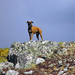 Curtis Hill Photo 36