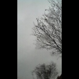 Elizabeth Hays Photo 26
